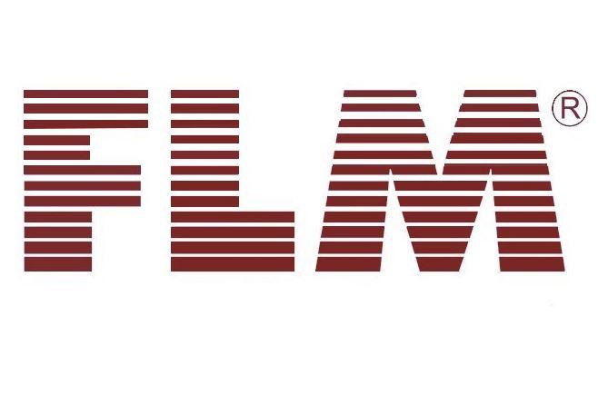 Logo FLM weiß. Logo FLM weiß.